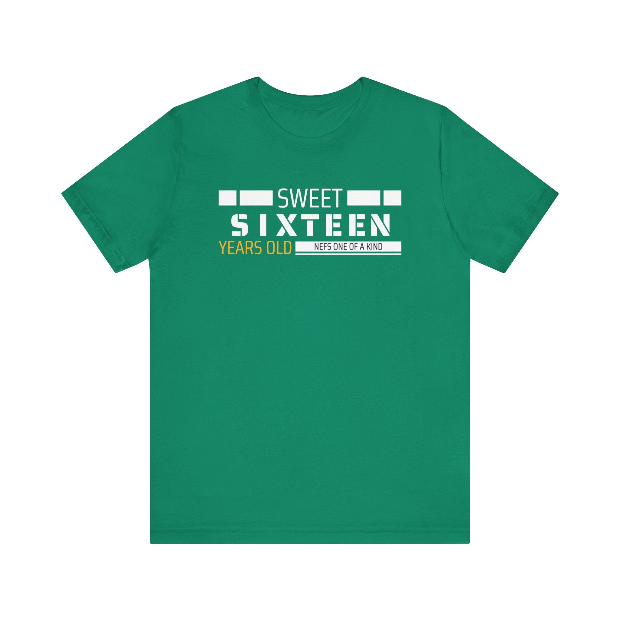 Sixteen year old Unisex Adult Tee